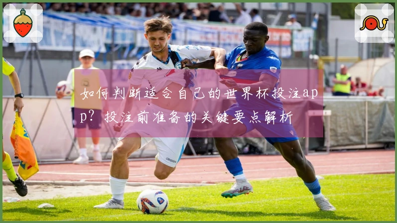 如何判断适合自己的世界杯投注app？投注前准备的关键要点解析