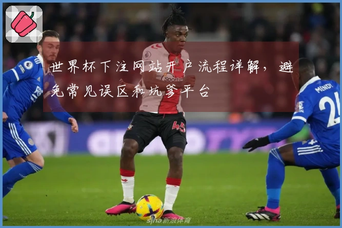 世界杯下注网站开户流程详解，避免常见误区和坑爹平台