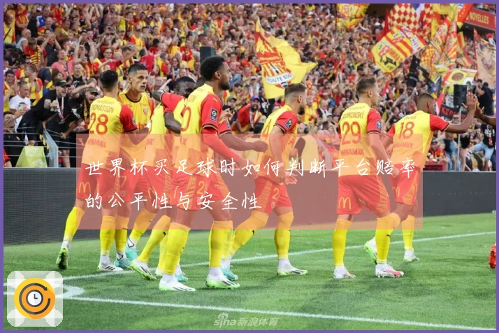 世界杯买足球时如何判断平台赔率的公平性与安全性