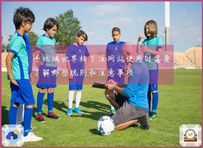 手机端世界杯下注网站使用时需要了解哪些规则和注意事项